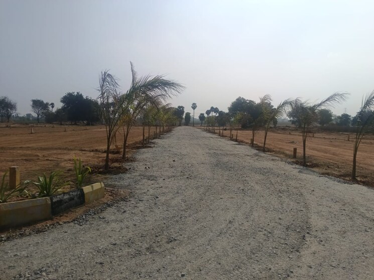 undefined, peeranchuruvu  242 Sq.Yd. Plot In Peeranchuruvu Hyderabad 8034042
