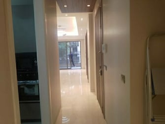 3 BHK Builder Floor For Rent in Safdarjang Enclave Delhi  8034197