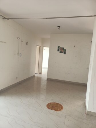 2 BHK Apartment For Rent in ERA Redwood Residency Sector 78 Faridabad  8034265