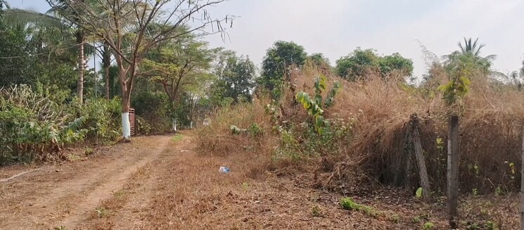 undefined, ss-farm  20000 Sq.Yd. Plot In Karjat Navi Mumbai 8034301