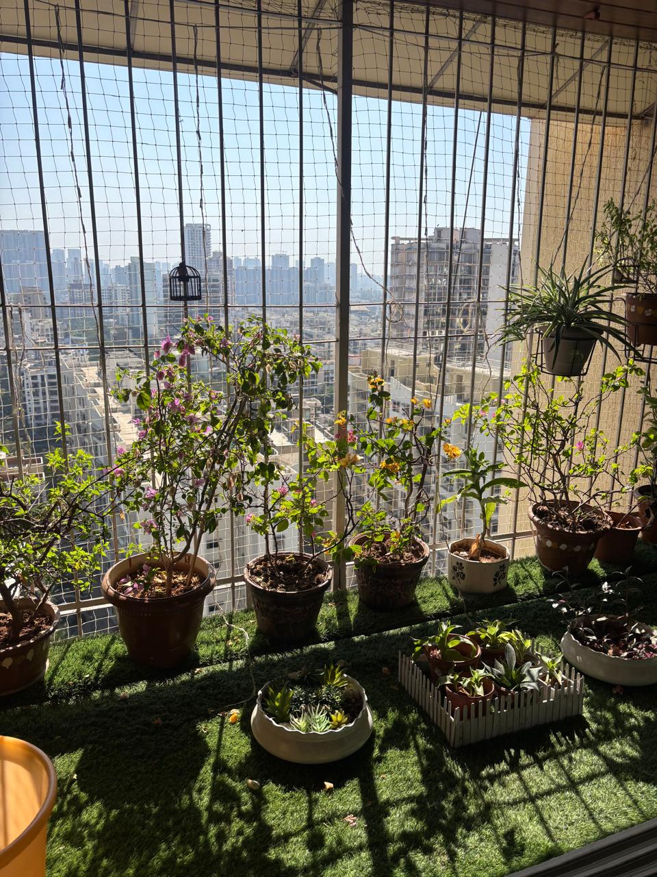 2 BHK Apartment For Sale in Romell Diva