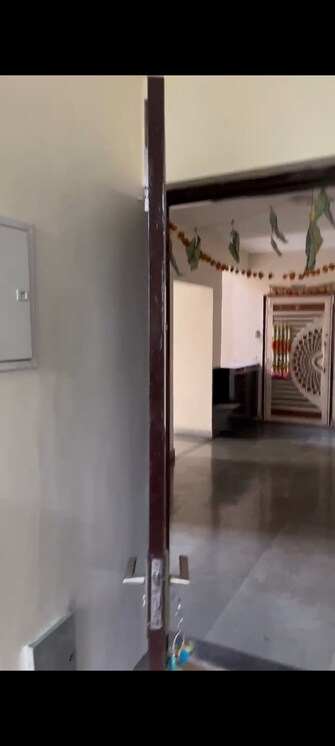 2 BHK Apartment For Rent in Wave City Wave City Ghaziabad  8034541