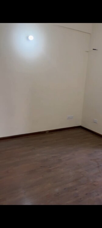 2 BHK Apartment For Rent in Wave City Wave City Ghaziabad  8034541