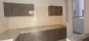 3 BHK Apartment For Rent in NK Sharma Savitry Greens 2 Ghazipur Zirakpur  8034605