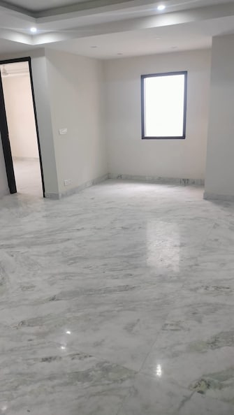 3 BHK Apartment For Rent in Pitampura Delhi  8034745