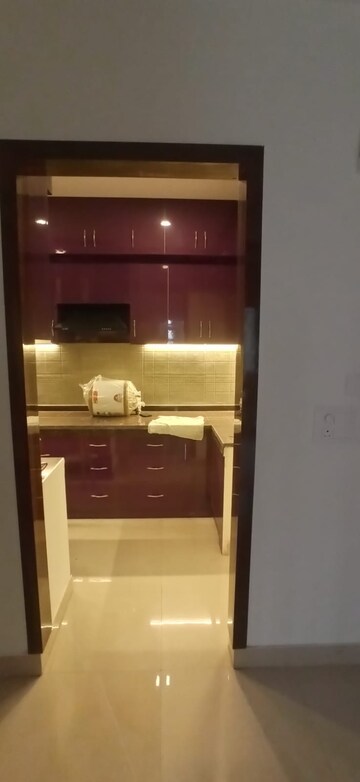 Furnished Amenities in 2.5 BHK Apartment at Ace Divino, Sector 1 Greater Noida – for Rent