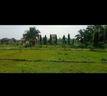 Plot Area in  Plot at Panagar – for Sale