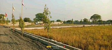  Plot For Sale in Panagar