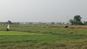  Plot For Sale in Sonarpur