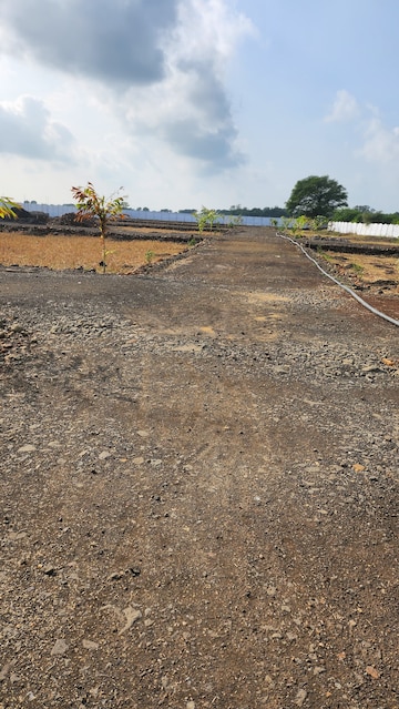 Plot Area in  Plot at Katangi – for Sale