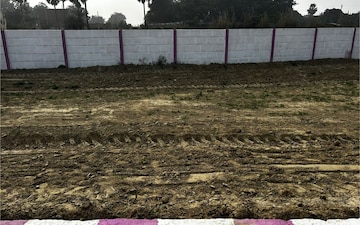 Plot For Sale in Banthra Sikander Pur