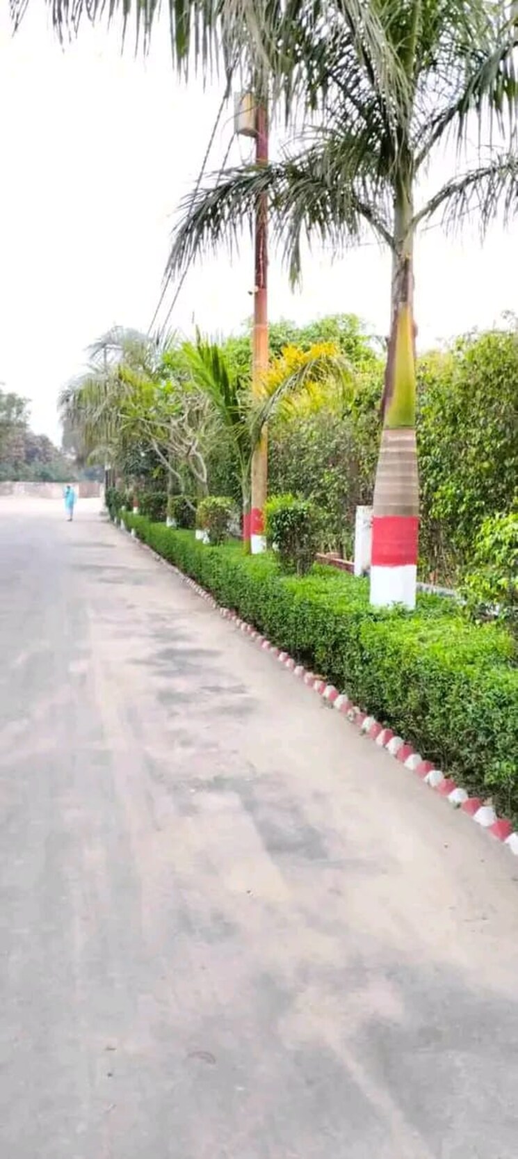 Garden, meerut cantt 3 Bedroom 120 Sq.Mt. Independent House In Meerut Cantt Meerut 8035696