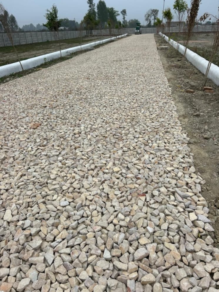 undefined, gosainganj  765 Sq.Ft. Plot In Gosainganj Lucknow 8035786