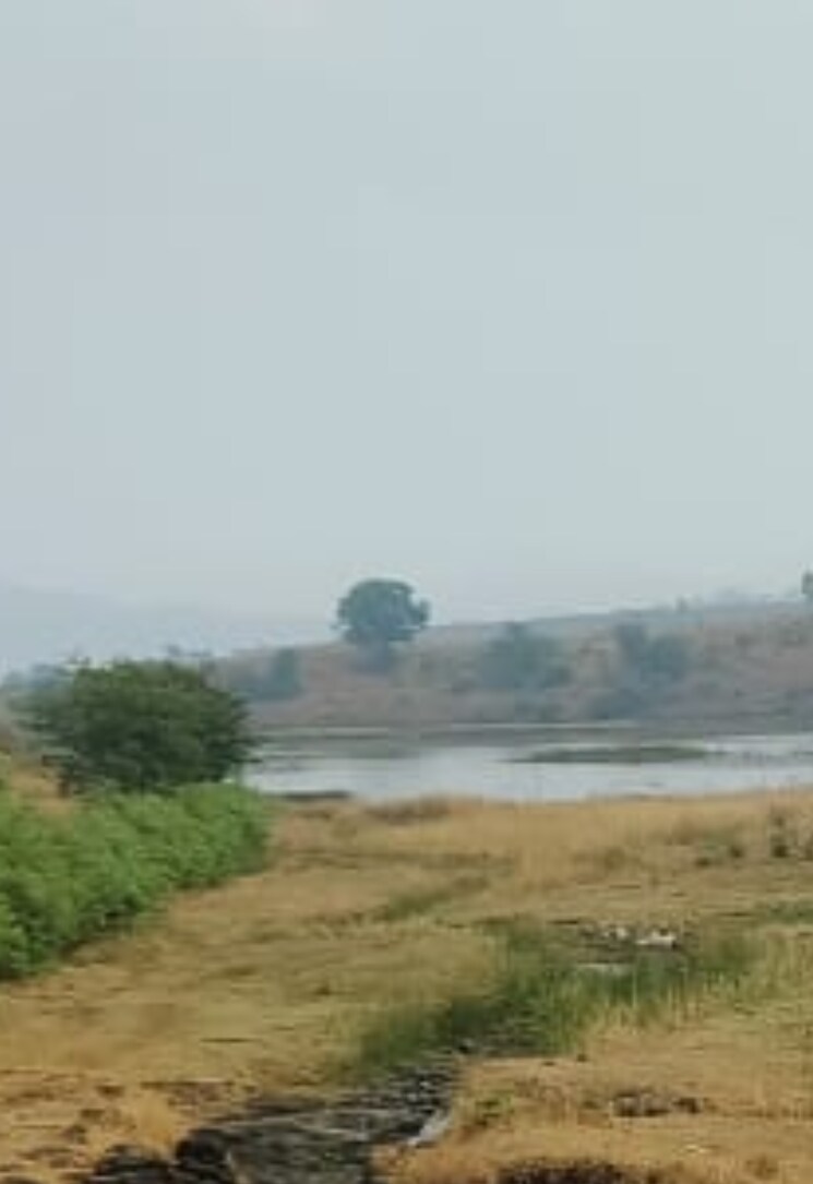 undefined, igatpuri  4 Acre Plot In Igatpuri Nashik 8035783