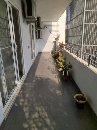 4 BHK Builder Floor For Rent in DLF Silver Oaks Sector 26 Gurgaon  8035984