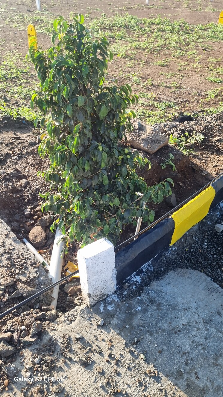 Exterior View, kondhapuri  1000 Sq.Ft. Plot In Kondhapuri Pune 8036468