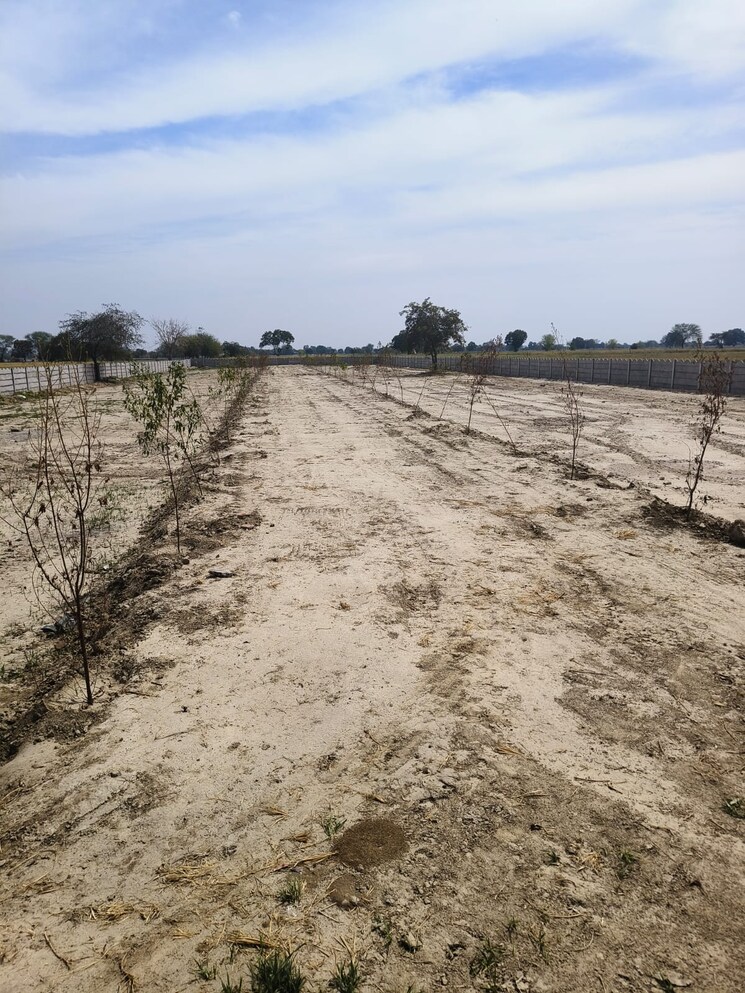 Exterior View, chhatikara  100 Sq.Yd. Plot In Chhatikara Vrindavan 8036600