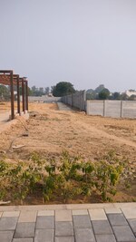 250 Sq.Yd. Plot in Sector 85