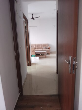 2 BHK Apartment For Rent in Ace Divino Noida Ext Sector 1 Greater Noida  8036703