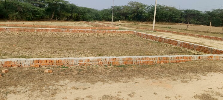 undefined, jankipuram  1000 Sq.Ft. Plot In Jankipuram Lucknow 8036841