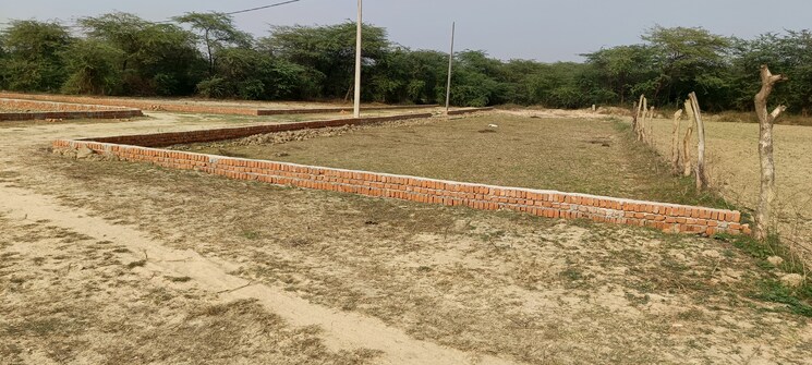 undefined, jankipuram  1000 Sq.Ft. Plot In Jankipuram Lucknow 8036841