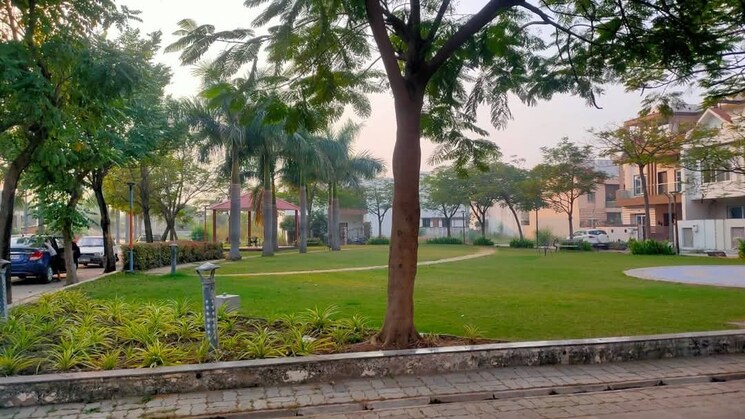 Garden, sejbahar  1000 Sq.Yd. Plot In Sejbahar Raipur 8036882