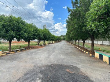 Plot Area in  Plot at Hoskote – for Sale