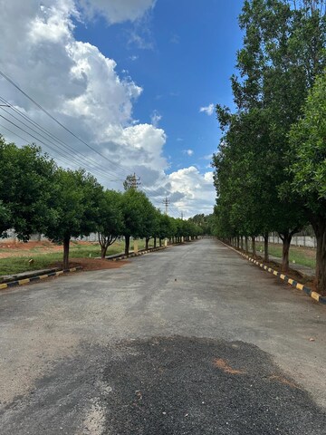 Plot Area in  Plot at Hoskote – for Sale