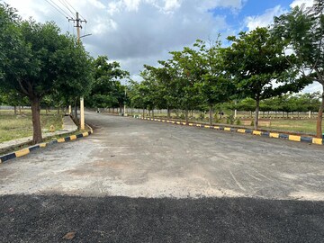 Plot Area in  Plot at Hoskote – for Sale