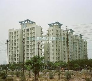 3 BHK Apartment For Rent in SDS NRI Residency Sector 45 Noida  8037126