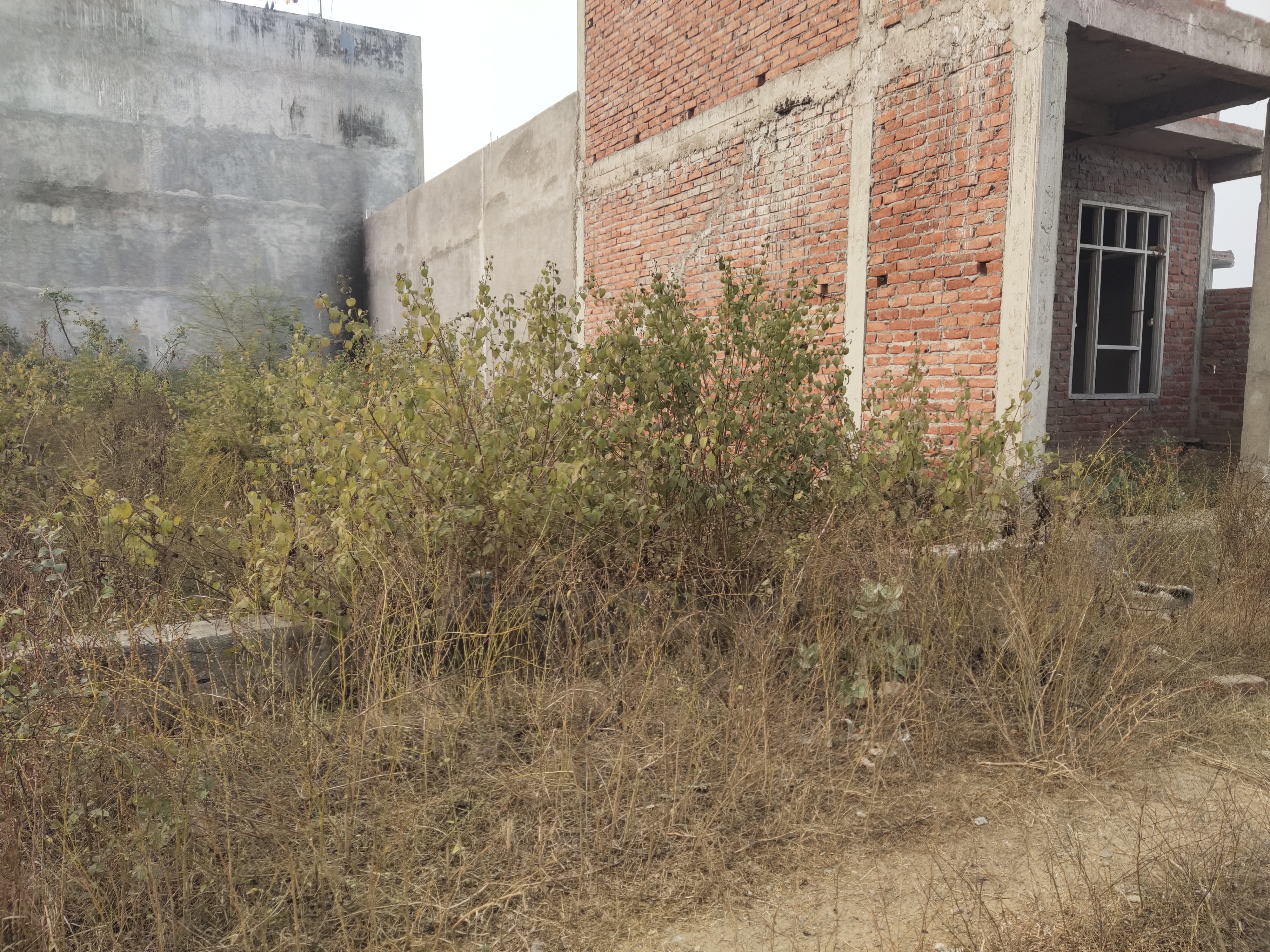 Plot For Sale in Plot Sale Gomti Nagar 