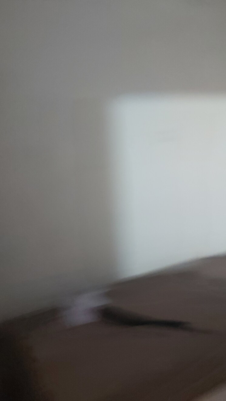 Room, mayur vihar 3.5 Bedroom 1400 Sq.Ft. Apartment In Mayur Vihar Delhi 8037265