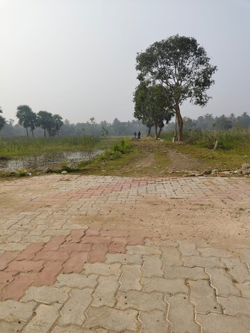 Plot Area in  Plot at Tollygunge – for Sale