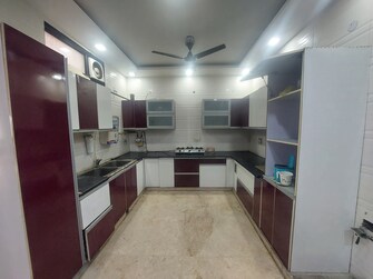 4 BHK Builder Floor For Rent in Model Town 3 Delhi  8037621