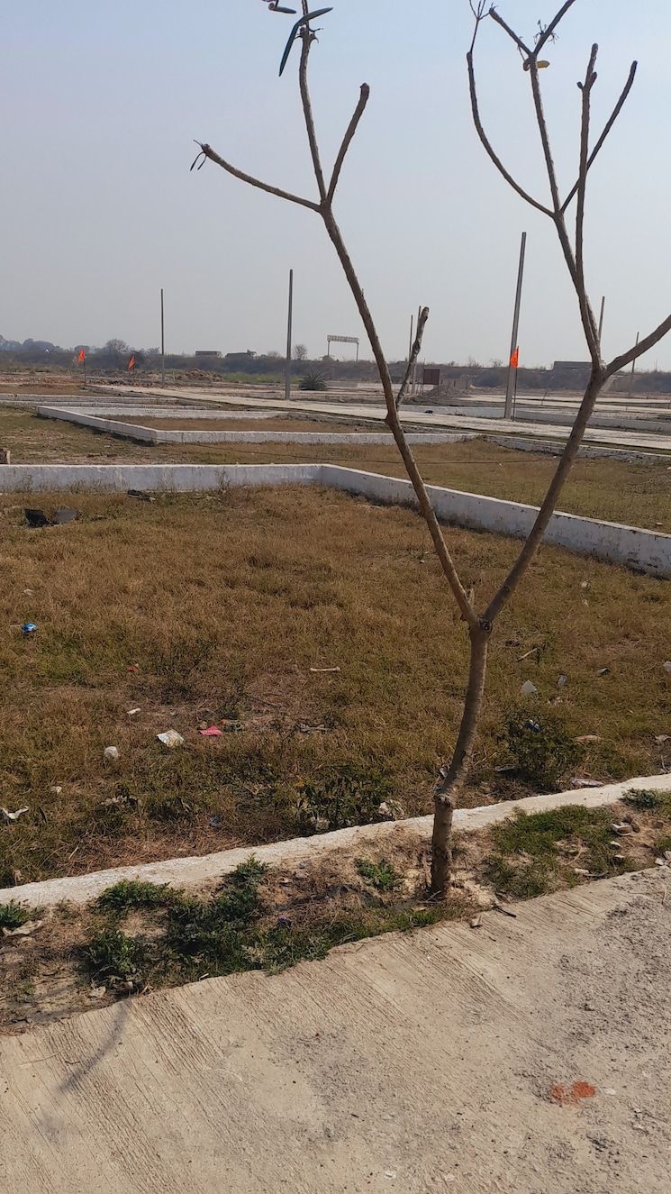 undefined, jewar  400 Sq.Yd. Plot In Jewar Greater Noida 8037782