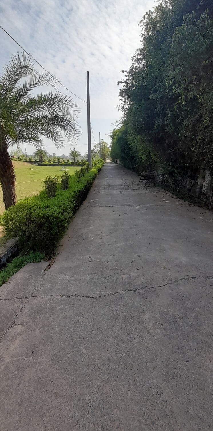 Garden, jewar  150 Sq.Yd. Plot In Jewar Greater Noida 8037787