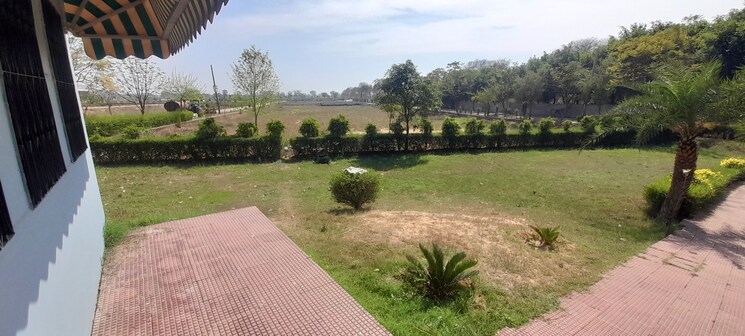 Garden, jewar  150 Sq.Yd. Plot In Jewar Greater Noida 8037787