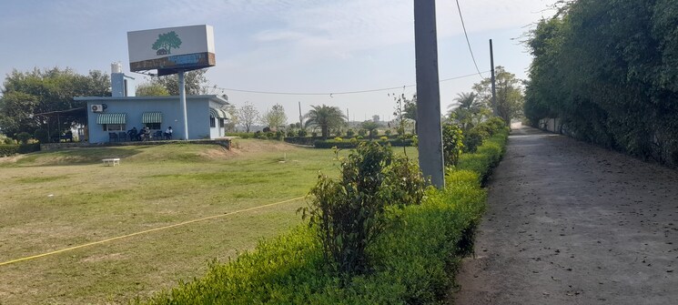 Garden, jewar  150 Sq.Yd. Plot In Jewar Greater Noida 8037787