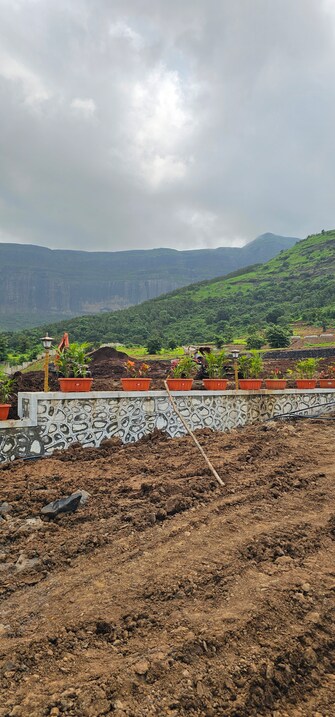 Plot For Resale in Trimbak Nashik  8037893