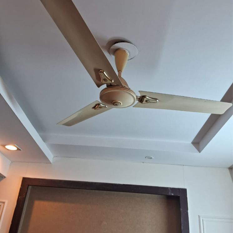 undefined, rwa-apartments-sector-52 4 Bedroom 162 Sq.Yd. Independent House In Arun Vihar Noida 8037984