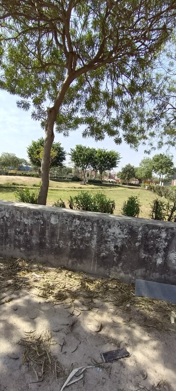 Plot Area in  Plot at Lal Kuan – for Sale
