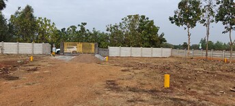 Plot For Resale in Visakhapatnam Port Vizag  8038164