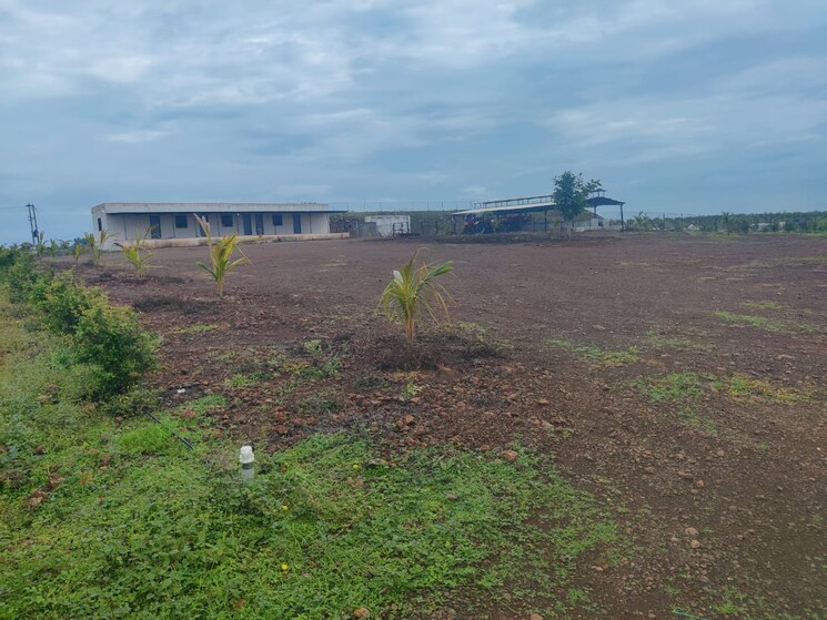 Exterior View, hinjewadi  1000 Sq.Yd. Plot In Hinjewadi Pune 8038336