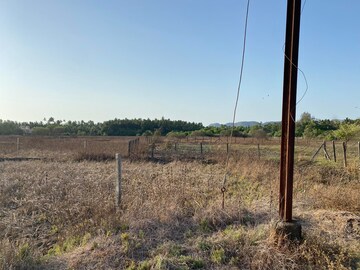  Plot For Sale in Alibag