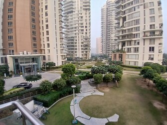 3 BHK Apartment For Rent in Pioneer Park Presidia Sector 62 Gurgaon  8038856