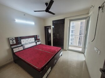 3.5 BHK Apartment For Rent in Sikka Kaamna Greens Sector 143a Noida Noida  8038955