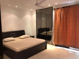 2 BHK Builder Floor For Rent in Hauz Khas Enclave Delhi  8039055