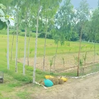 Plot For Resale in Khushalipur Saharanpur  8039078