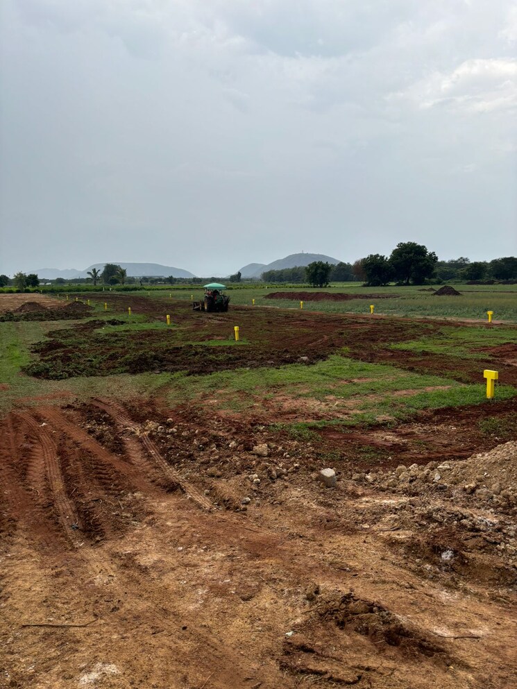 undefined, mangalagiri  184 Sq.Yd. Plot In Mangalagiri Vijayawada 8039238