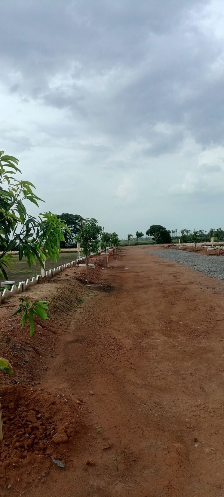 undefined, sri-bhumi-eeshaanya  184 Sq.Yd. Plot In Kankipadu Vijayawada 8039249